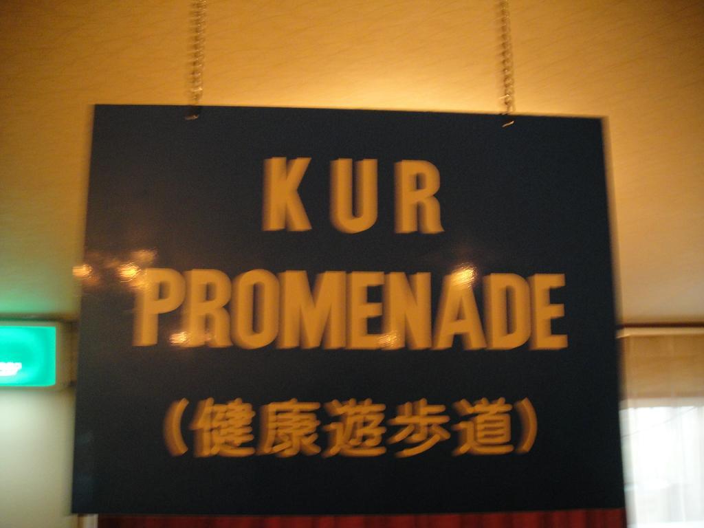 Kurhaus Ishibashi Ryokan Shimoda  Buitenkant foto
